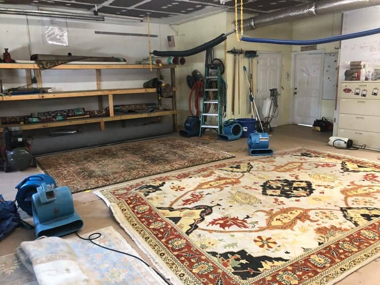 Antique area rug being professionally cleaned by Whitehall Carpet Cleaners