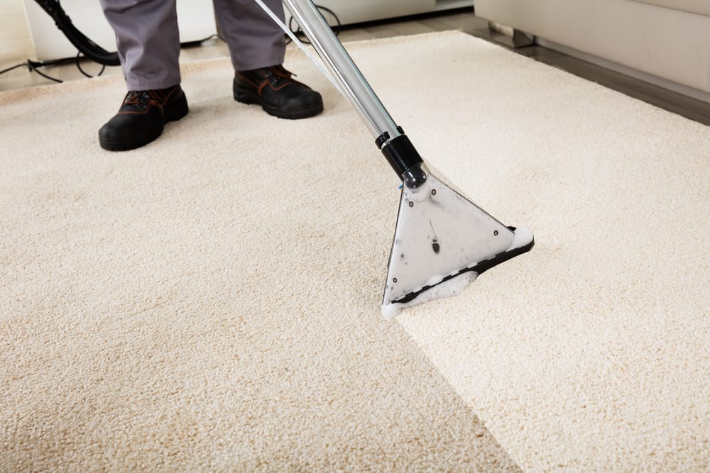 Carpet cleaning technician removing dirt and stains from white carpet