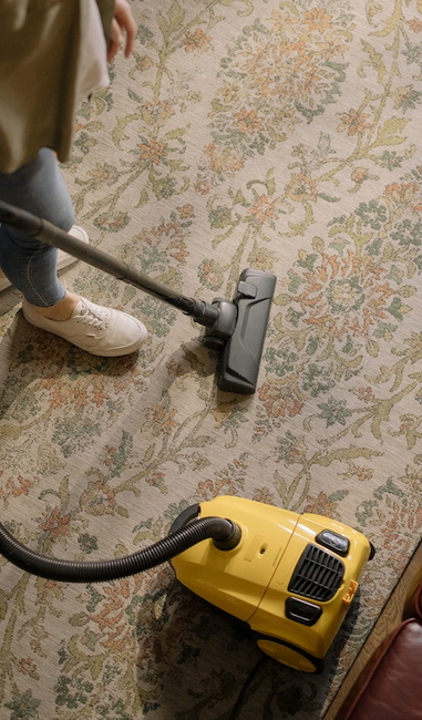 Choosing the Right Professional Carpet Cleaner