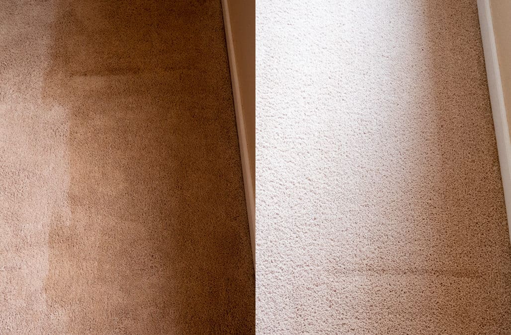 Carpet Filtration Lines and How to Get Rid of Them