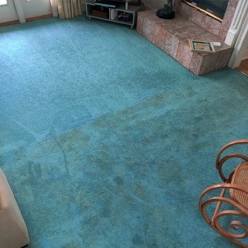 it is always important to call the professionals to clean up stains (big or small), you can actually maintain your area rug at home with some simple steps.