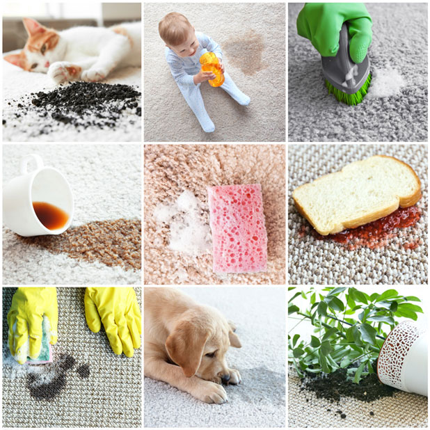 Prevent Allergies with Carpet Cleaning