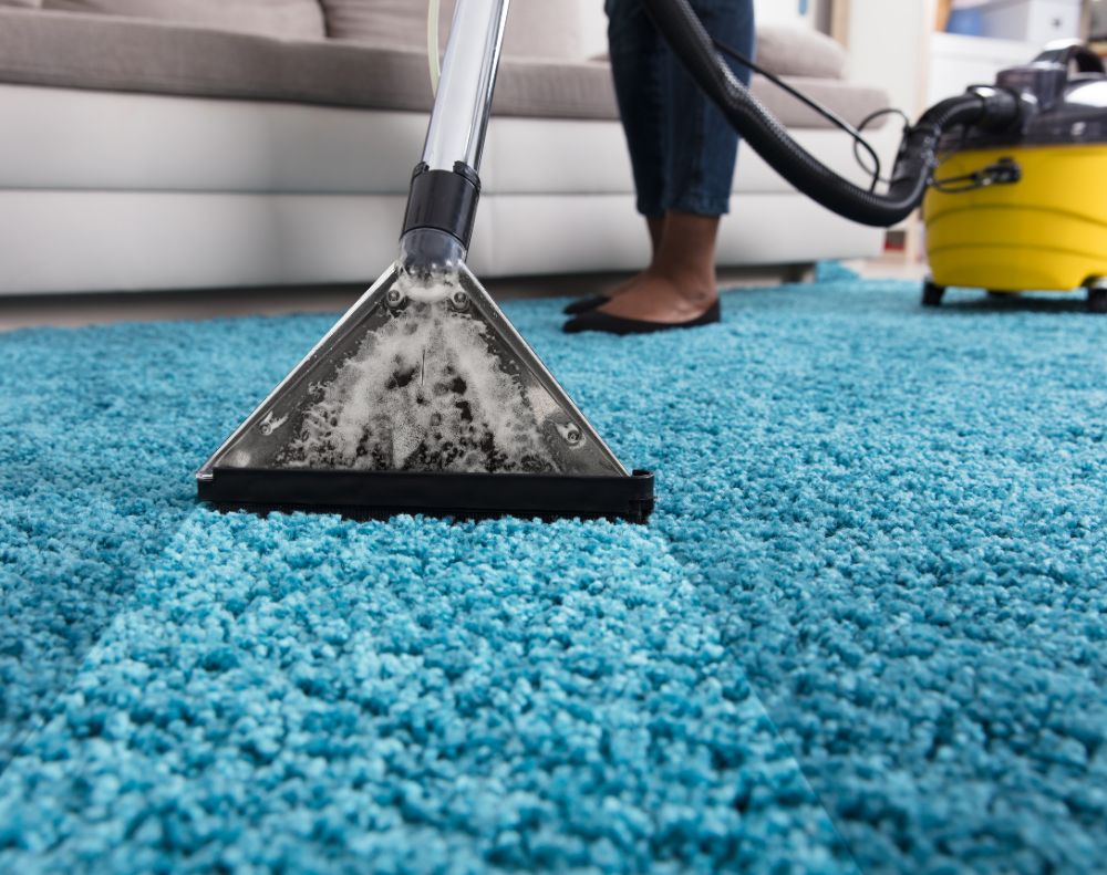 Comprehensive Carpet Cleaning Services in Irmo, SC