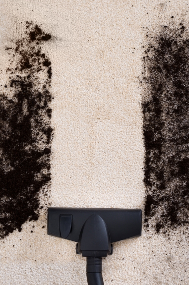 Cost Comparison Professional vs. DIY Carpet Cleaning