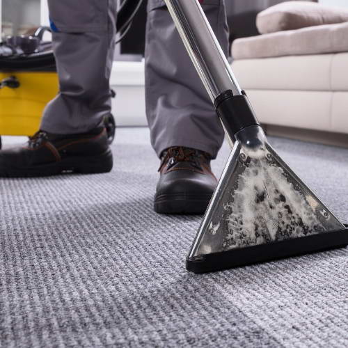 Do-it-Yourself vs Professional Carpet Cleaning: A Comparative Analysis