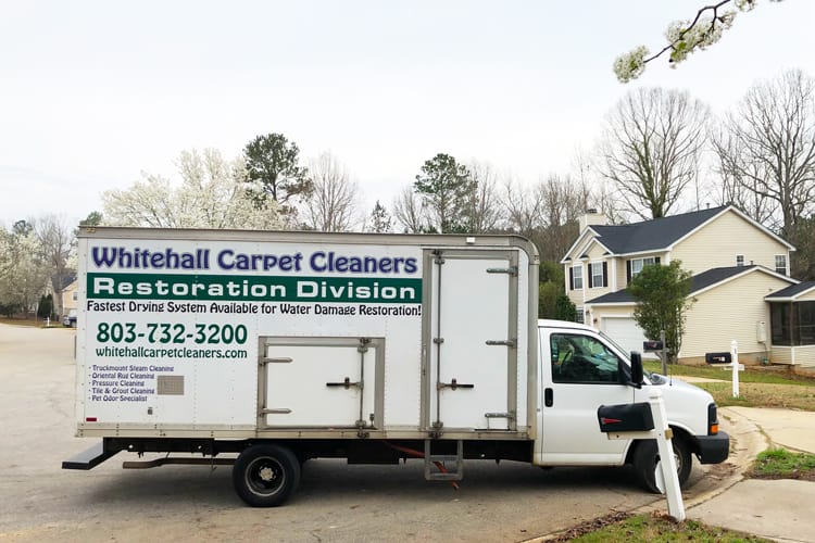 Brushes, rubber gloves, and cleaning supplies to clean a home for the holidays