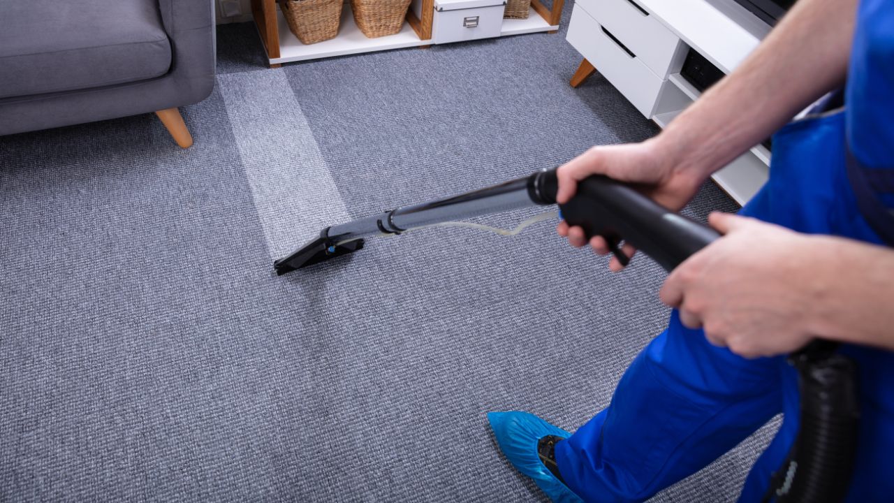 How to Choose a Professional Carpet Cleaner - Connection Between Carpet Cleaning and Indoor Air Quality