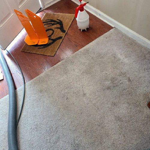 How to Hide Carpet Stains Until a Carpet Cleaner Arrives – Hide a carpet stain