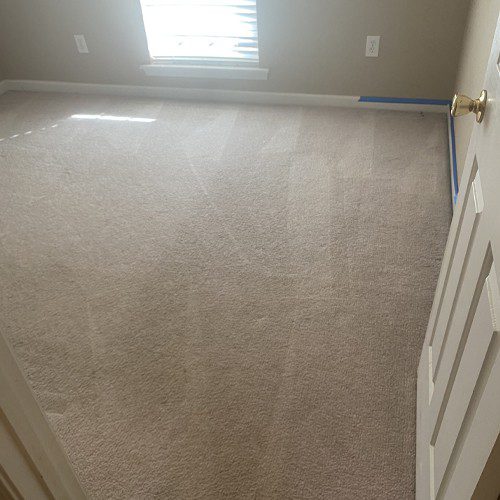 At Whitehall Carpet Cleaners, we have the expertise and experience to get your large area rug looking like new right away.