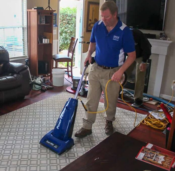 Area Rug Cleaning and Care