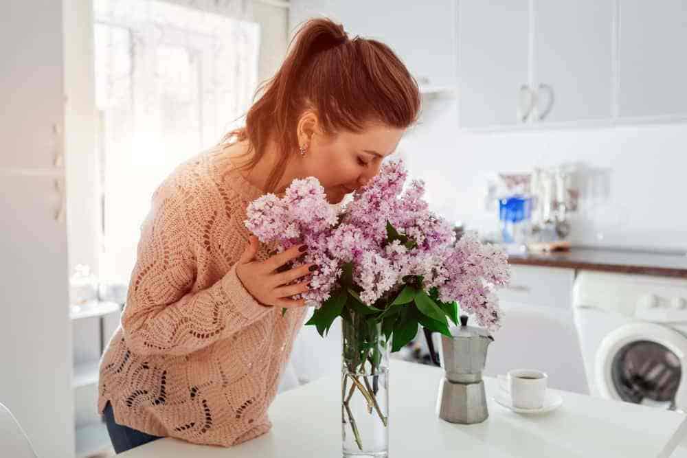 Allergy Cleaning 101: Cleaning Your Home of Allergens