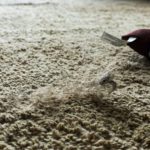 Stubborn Pet hairs get stuck in your carpet