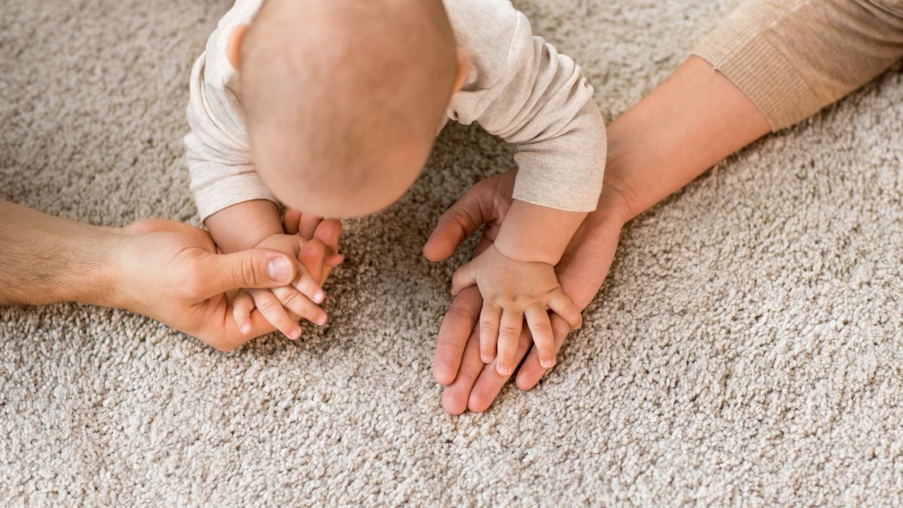 The Benefits of Professional Carpet Cleaning Services - Connection Between Carpet Cleaning and Indoor Air Quality