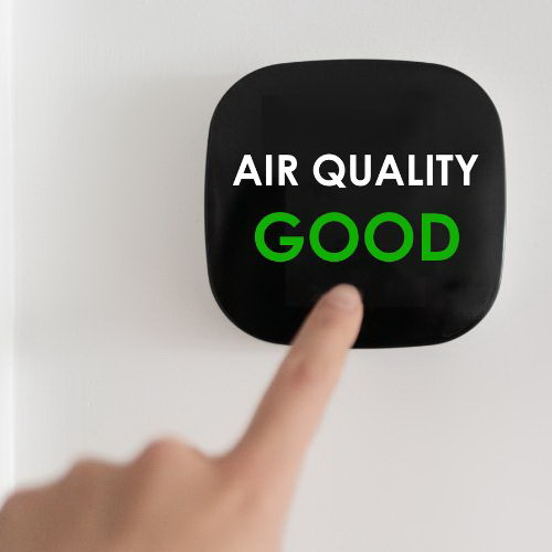 The Connection Between Carpet Cleaning and Indoor Air Quality