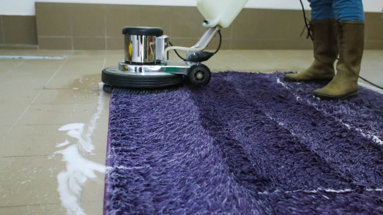 The Importance of Regular Carpet Cleaning - Connection Between Carpet Cleaning and Indoor Air Quality