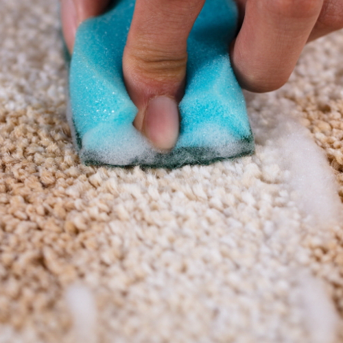 Top 10 Carpet Cleaning Solutions for Stubborn Stains (2023 Edition) – Carpet Stain Cleaning