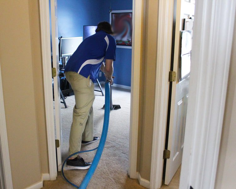 Brushes, rubber gloves, and cleaning supplies to clean a home for the holidays