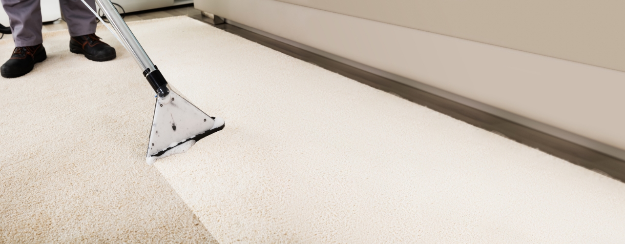 Why Professional Carpet Cleaning Beats Stubborn Stains