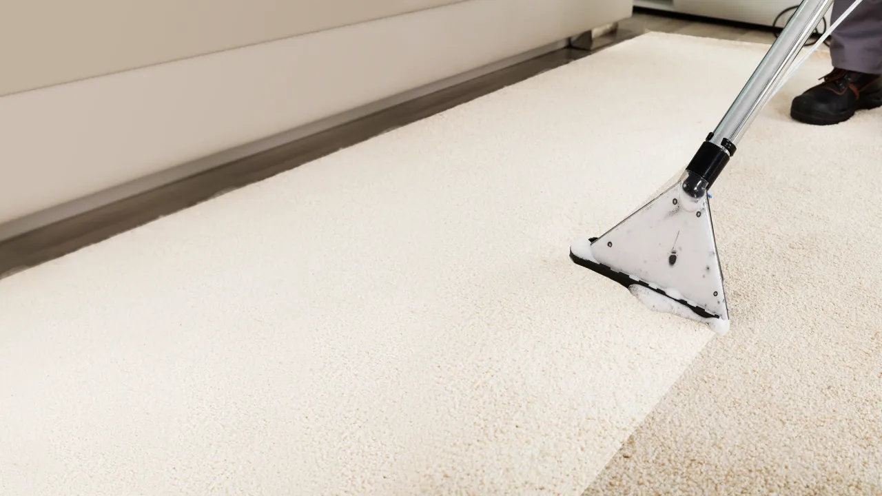 Dealing with Special Carpets