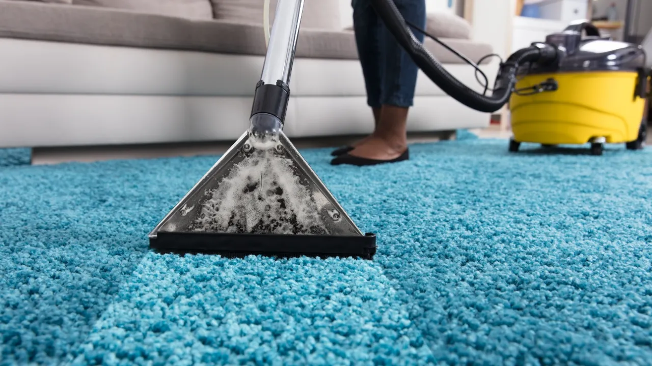 Hiring Carpet Cleaning Companies Vs. DIY: The Cost Factor