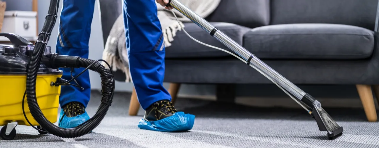 How to Choose a Professional Carpet Cleaner