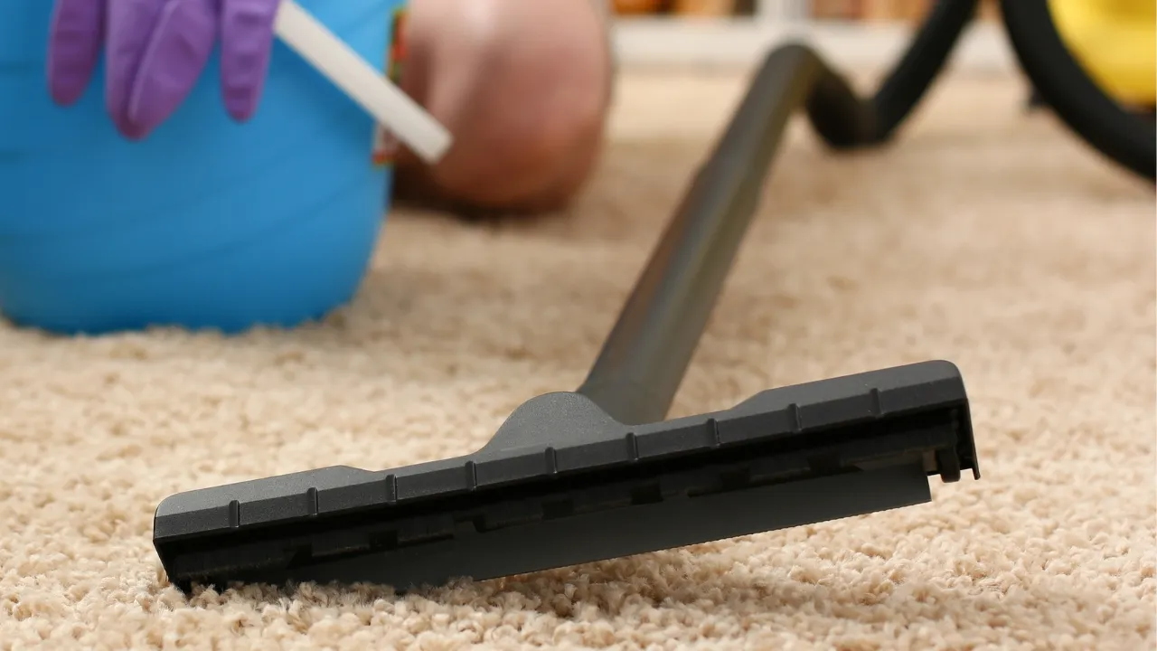 Long-Term Maintenance and Care for Your Carpets