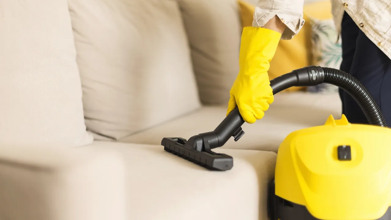 Professional Upholstery Cleaning Services