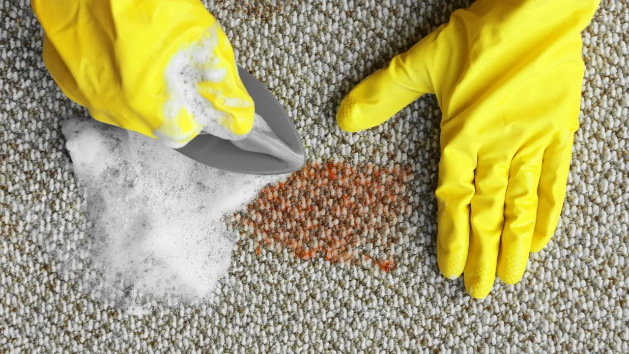 Safe and Effective Spot Cleaning Tips