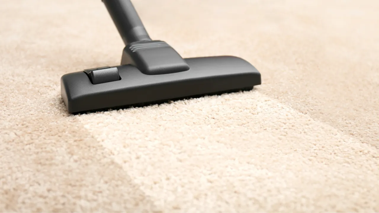 Step-by-Step Guide to Dry Clean Carpets at Home