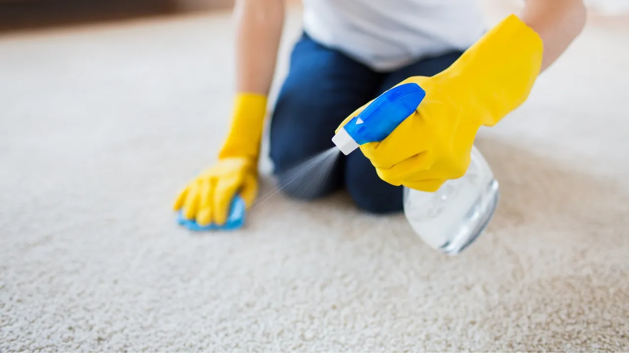 The Best Green Cleaning Solution For Your Carpet