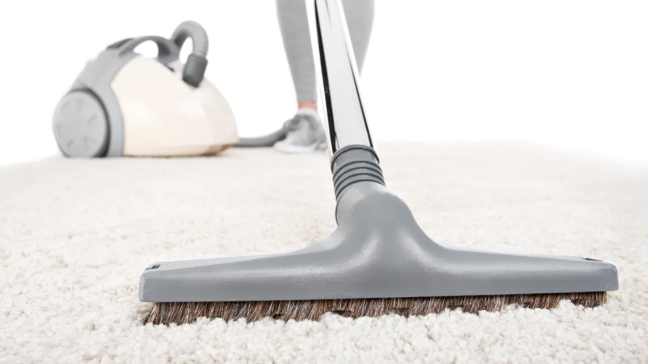 The Importance of Regular Vacuuming