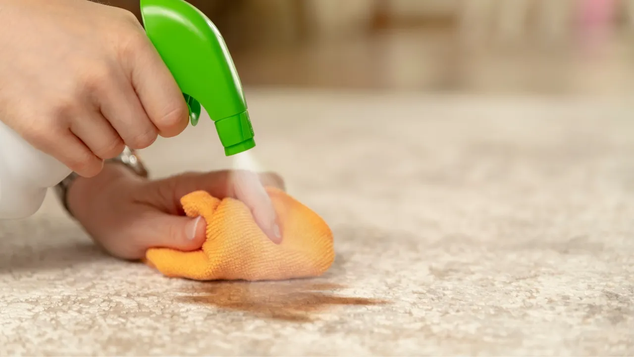 The Pro's Guide to Spot Cleaning Your Carpet Stains