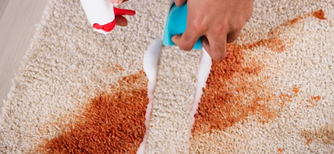 Top Carpet Cleaning Mistakes to Avoid