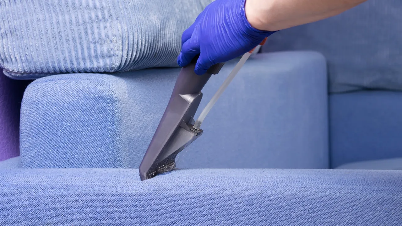 Understanding the Basics of Upholstery Cleaning